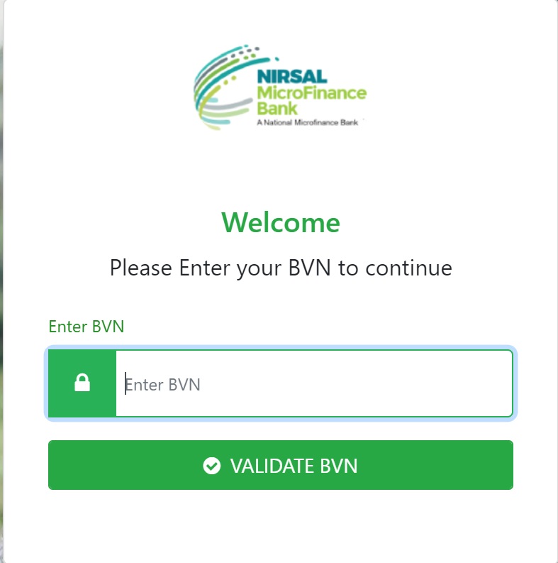 Online business plan template picture