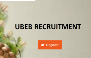 Niger State SUBEB Recruitment Portal 2021 – Begin Application Process Niger State UBEB Recruitment
