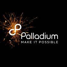 Palladium Group (UNDP)