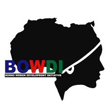 Borno Women Development Initiative (BOWDI) Job Listings (4 Openings ...